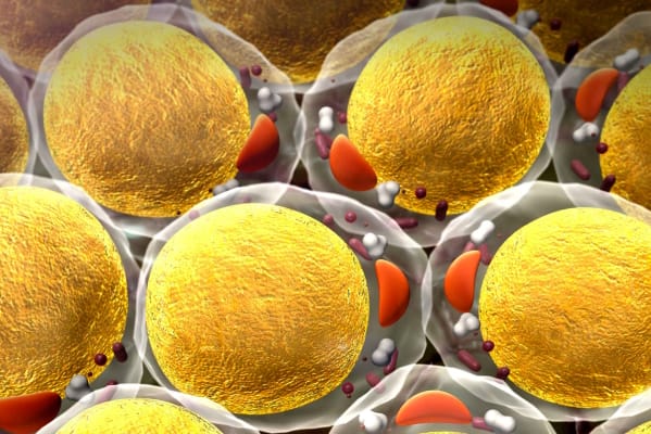 dual trend Applicazioni